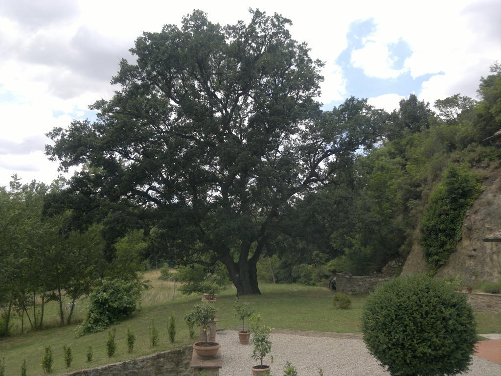 Villa Loghino Volterra Exteriér fotografie