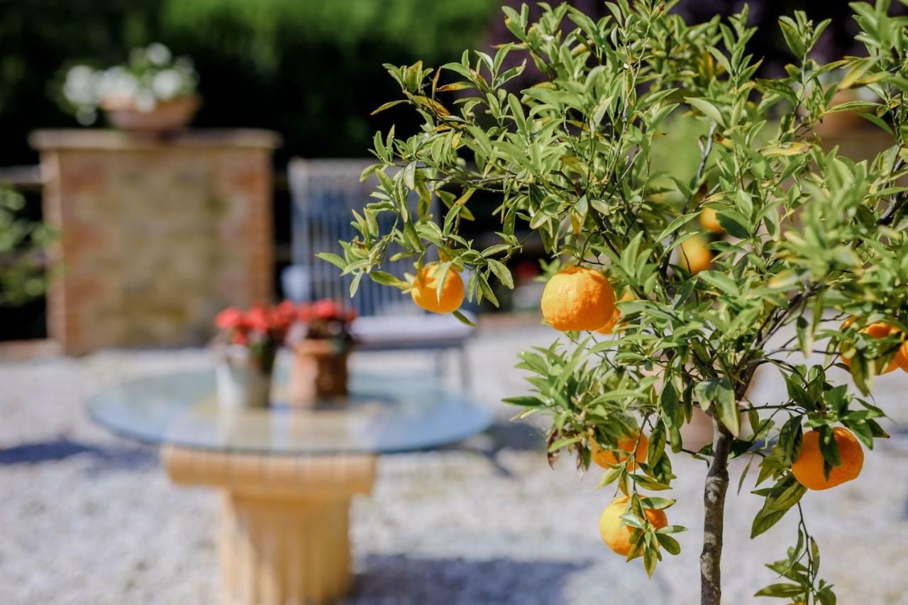 Villa Loghino Volterra Exteriér fotografie